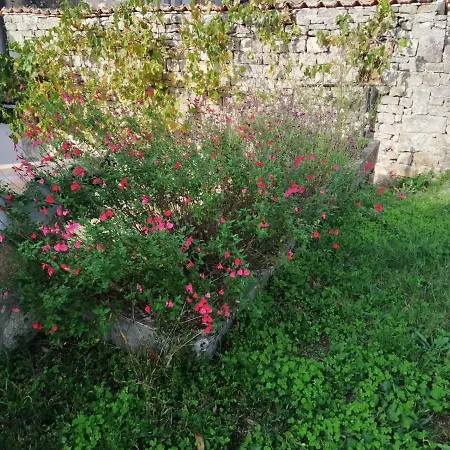 Сasa de vacaciones St Pierre *