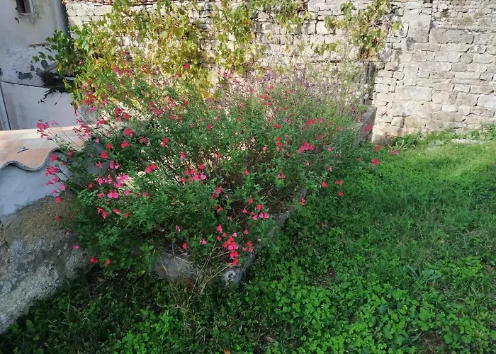 Prázdninový dům St Pierre *