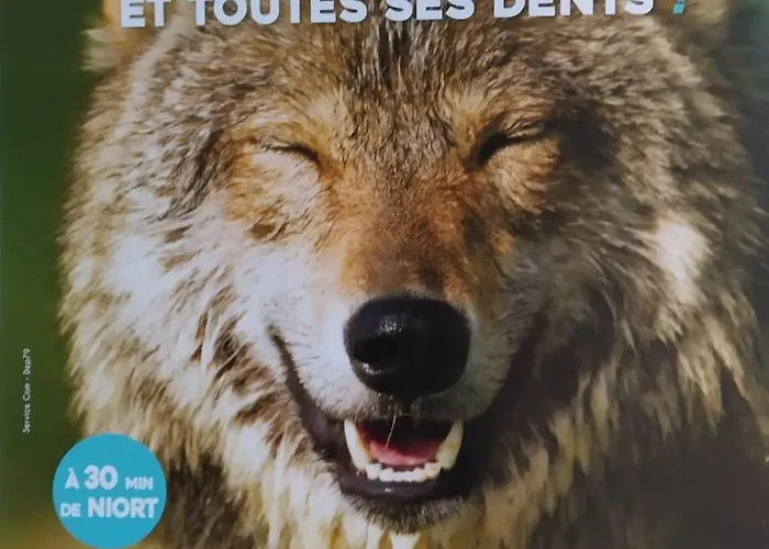 度假居 St Pierre Mellé