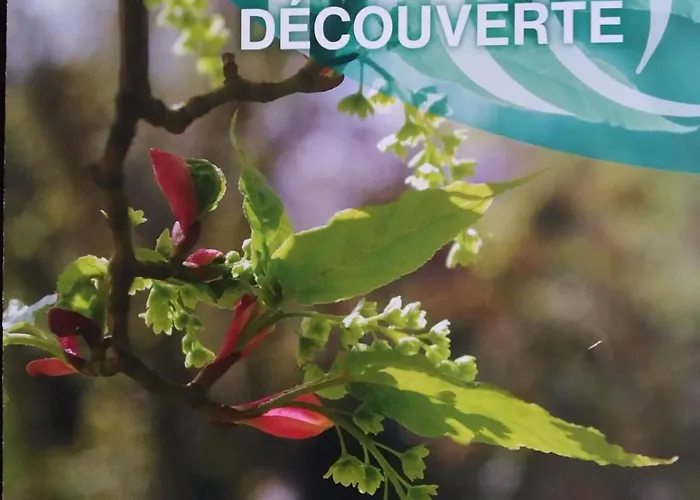 St Pierre Prázdninový dům